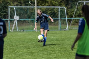 Bild 210 - B-Juniorinnen VfL Pinneberg - HSV : Ergebnis: 1:4
